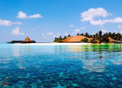 مهمترین جزایر شگفت انگیز بکر و اکوسیستمی در دنیا