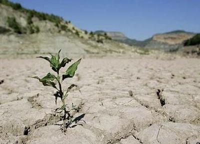 خشک ترین سال نیم قرن اخیر را تجربه می کنیم