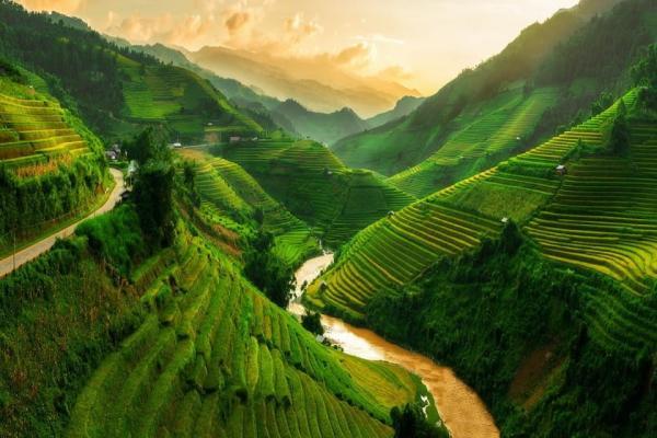تور ویتنام: ویتنام درهای خود را از ماه آینده به روی تعداد محدودی از گردشگران می گشاید