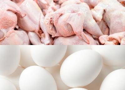 سازمان حمایت: افزایش قیمت مرغ و تخم مرغ به ما اعلام نشده